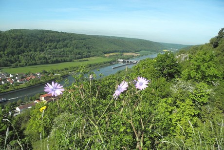 Blick von den Ihrlerstein auf den Wald und auf den Main-Donau-Kanal mit der Schleuse Gronsdorf in Kelheim