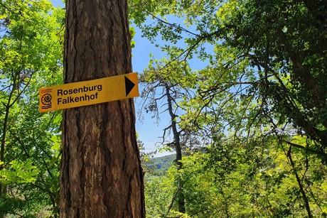 Ein Schild, das den Weg zum Falkenhof auf der Rosenburg weist.