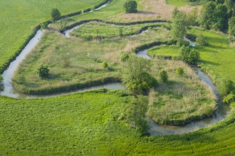 Ein kleiner Fluss schlängelt sich durch sattgrüne Feuchtwiesen. Man sieht aus der Vogelperspektive auf den mäandrierenden Fluss.