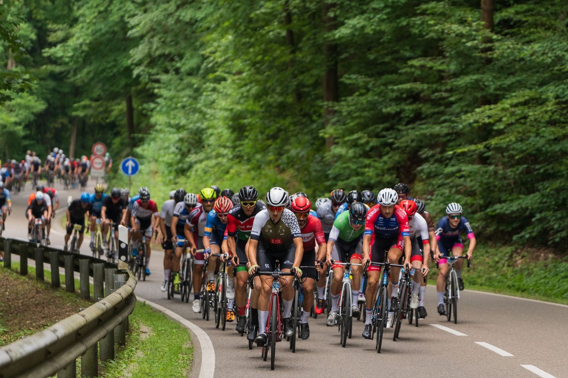 Eine große Gruppe Rennradfahrer fährt auf der Landstraße durch den Wald bei Kelheim. 