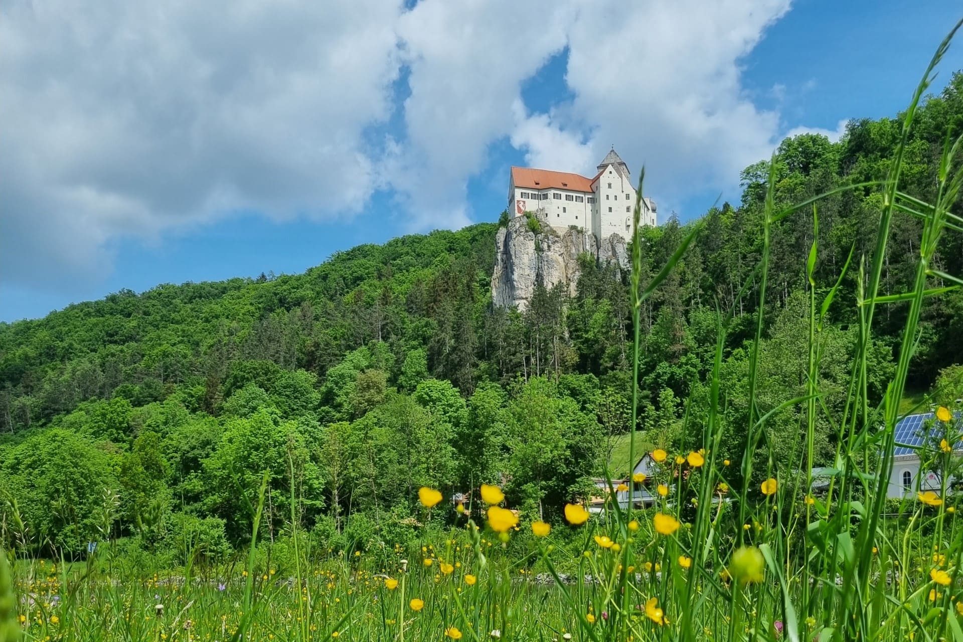 Burg Prunn steht auf einem Felsen. Ringsherum ist Wald.