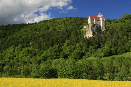 Burg Prunn steht auf einem Felsen, der von einem Wald umgeben ist. Im Tal blüht ein Rapsfeld.