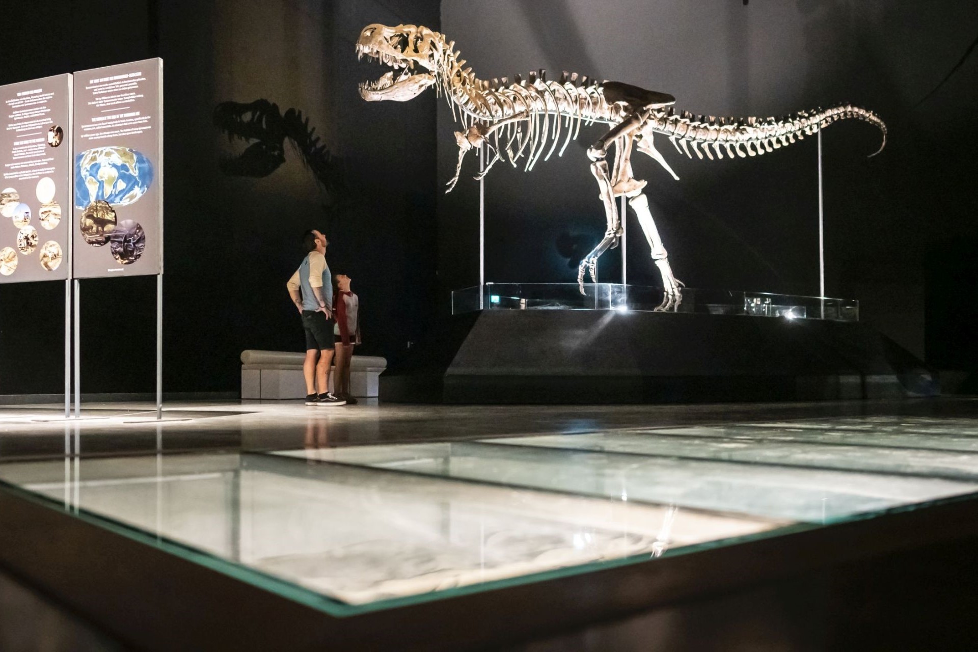 Im Dinosaurier Museum Altmühltal bestaunen ein Vater und seine Tochter das Skelett eines jugendlichen Tyrannosaurus rex, das weltweit einzigartig ist.