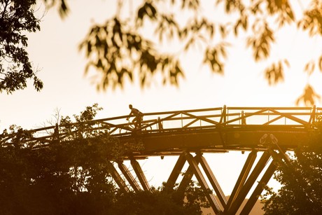 Ein Radfahrer fährt auf der Holzbrücke Tatzlwurm in Essing und genießt die Aussicht.