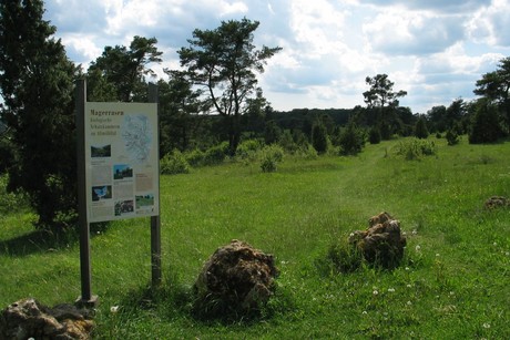 Wacholderheide und Magerrasen bei Riedenburg, Links steht eine Tafel, auf der der Magerrasen erklärt wird.